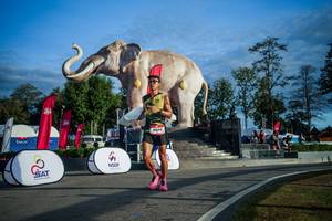 BIB: 
                            <button type="button" onclick="openModal(26541615)" class="btn btn-primary btn-sm float-right btn-popup" data-toggle="modal" data-target=".modal-high-quality">
                        <i class="fas fa-shopping-cart"></i> Add to Cart
                    </button>
                                            <button type="button" onclick="isThisMe(26541615, true)" class="btn btn-success btn-sm float-right btn-popup btn-isme hidden" data-toggle="tooltip" data-placement="bottom" title="นี่คือรูปของคุณใช่ไหม คลิกที่นี่เพื่อเอาเข้าอัลบั้ม">
                        <i class="fas fa-plus"></i> Add to album
                    </button>
                    <button type="button" onclick="isThisMe(26541615, false)" class="btn btn-warning btn-sm float-right btn-popup btn-isnotme hidden">
                        <i class="fas fa-ban"></i> Remove from album
                    </button>